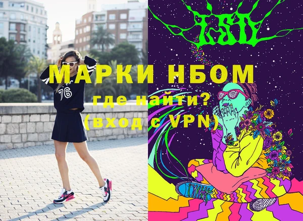 индика Баксан