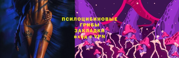 марки lsd Белокуриха