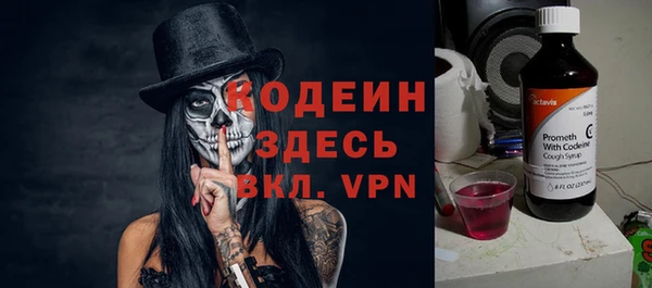 индика Баксан