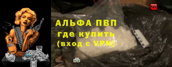 PSILOCYBIN Беломорск
