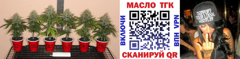 Купить  Пестово  ТГК жижа 
