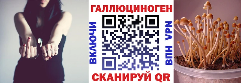 Псилоцибиновые грибы GOLDEN TEACHER  Купить где  Пестово 